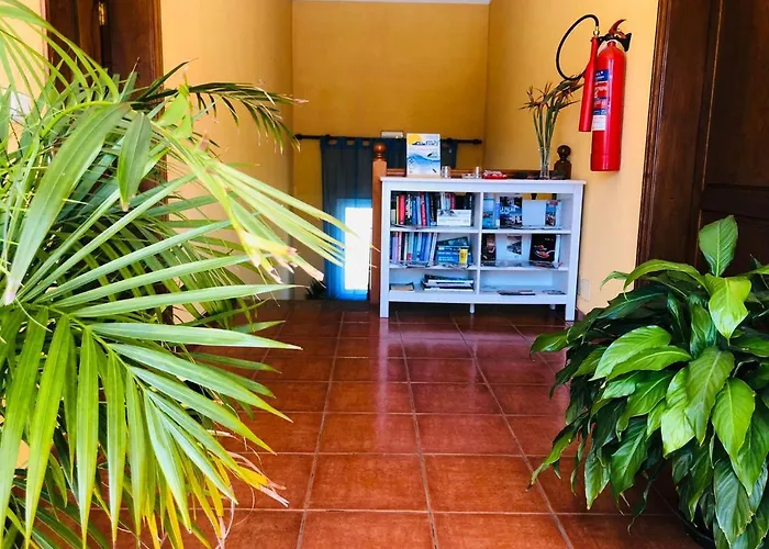 Apartament Catalino I